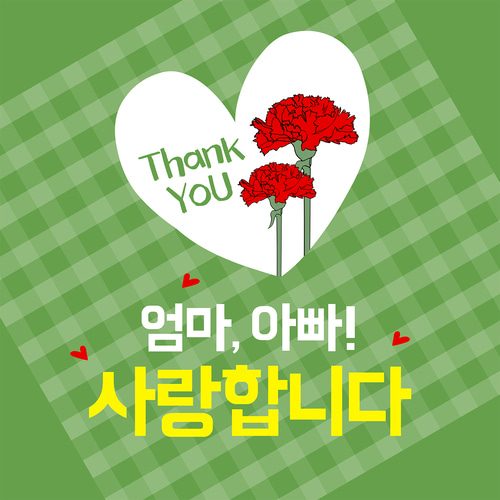 어버이날현수막 그린카네이션 B708
