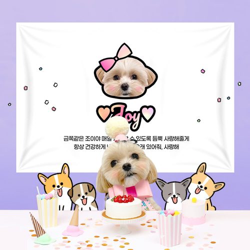 강아지 생일현수막 고양이 용품 반려동물 가랜드 파티 고깔모자 세트 PD101 110x80