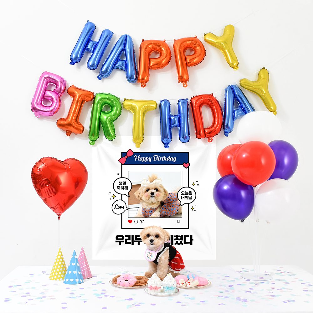 강아지 고양이 생일파티 반려동물 돌상 잔치 현수막 애견 레인보우세트