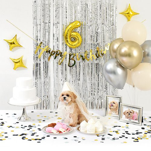 강아지 고양이 생일파티 반려동물 돌상 잔치 현수막 애견 실버블링세트