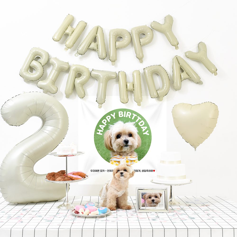 강아지 고양이 생일파티 반려동물 돌상 잔치 현수막 애견 크림모던세트