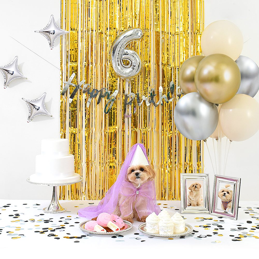 강아지 고양이 생일파티 반려동물 돌상 잔치 현수막 애견 골드블링세트