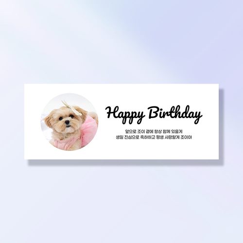 강아지 생일파티 고양이용품 반려동물 돌잔치 상 현수막 가랜드 고깔모자 애견 세트 PA201