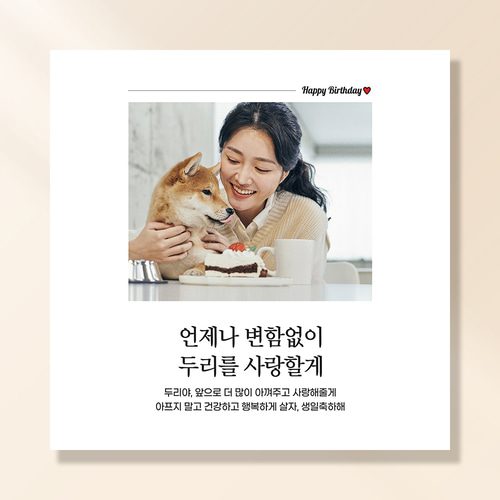 강아지 생일파티 고양이 용품 반려동물 돌 잔치 상 현수막 가랜드 토퍼 묘 고깔모자 애견 세트 PB222