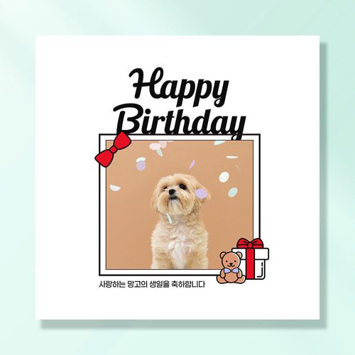 강아지 생일파티 고양이 용품 반려동물 현수막 가랜드 고깔모자 애견 세트 PB224