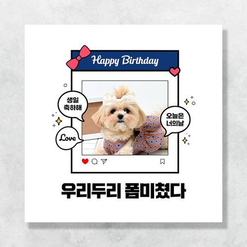 강아지 생일파티 고양이 반려동물 돌 생일상 현수막 가랜드 고깔모자 애견 세트 PB226