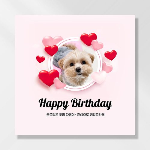 강아지 생일파티 고양이 반려동물 돌 잔치상 생일현수막 가랜드 고깔모자 애견 세트 PB229