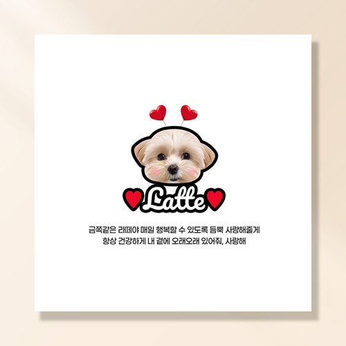 강아지 생일파티 고양이 용품 반려동물 돌 현수막 가랜드 고깔모자 애견 세트 PB230