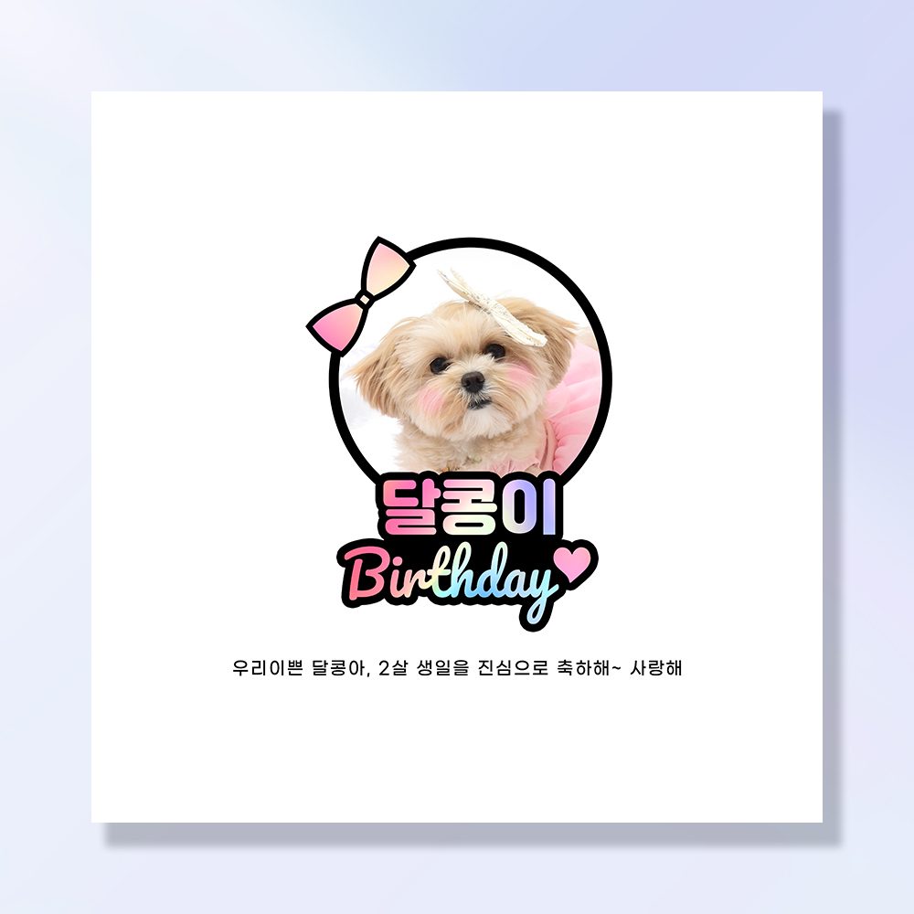 강아지 생일파티 고양이 용품 반려동물 돌 잔치 상 현수막 가랜드 애견 세트 PB231