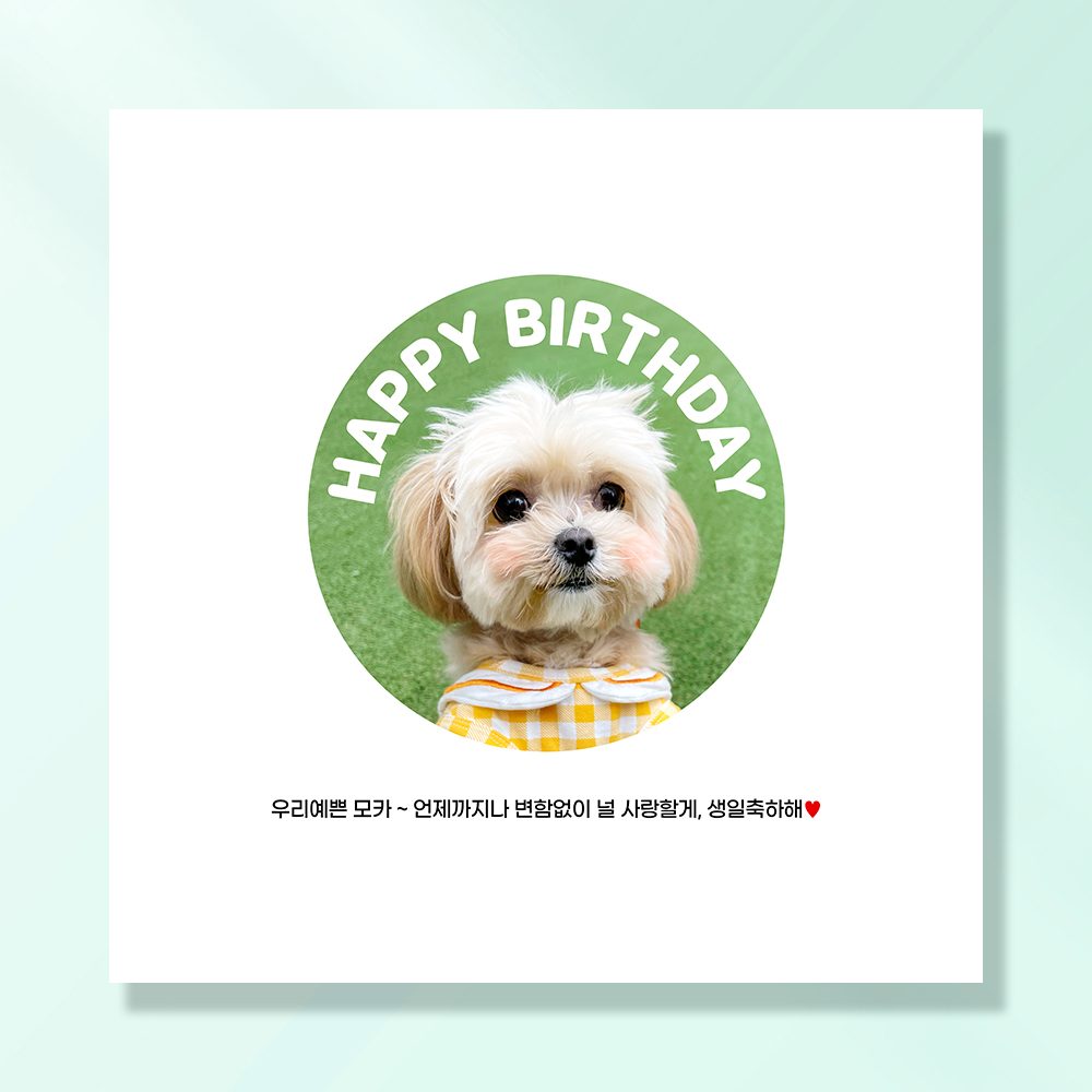 강아지 생일파티 고양이 용품 반려동물 현수막 가랜드 토퍼 묘 고깔모자 애견 세트 PB232