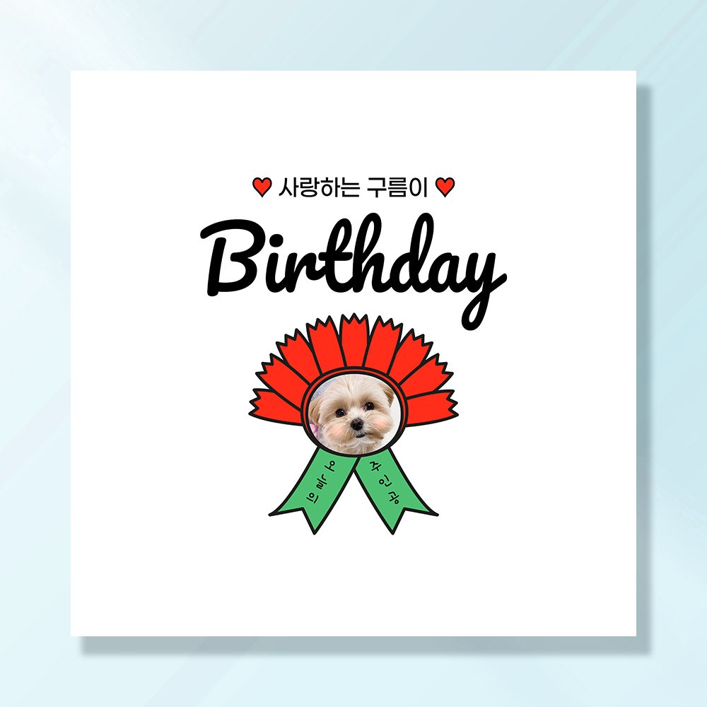 강아지 생일파티 고양이 용품 반려동물 돌 잔치 상 현수막 가랜드 토퍼 묘 고깔모자 애견 세트 PB233