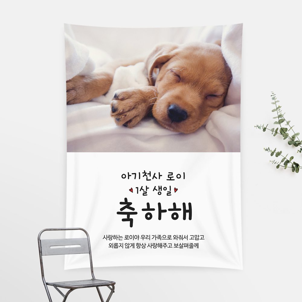 반려동물현수막 축하해 PC205
