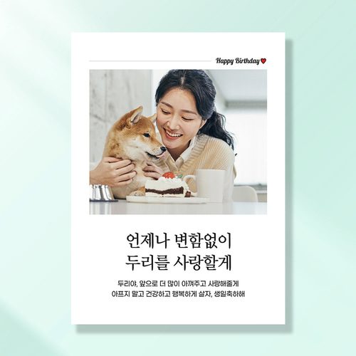 강아지 생일파티 고양이 용품 반려동물 돌 잔치 상 현수막 가랜드 토퍼 묘 고깔모자 애견 세트 PC222