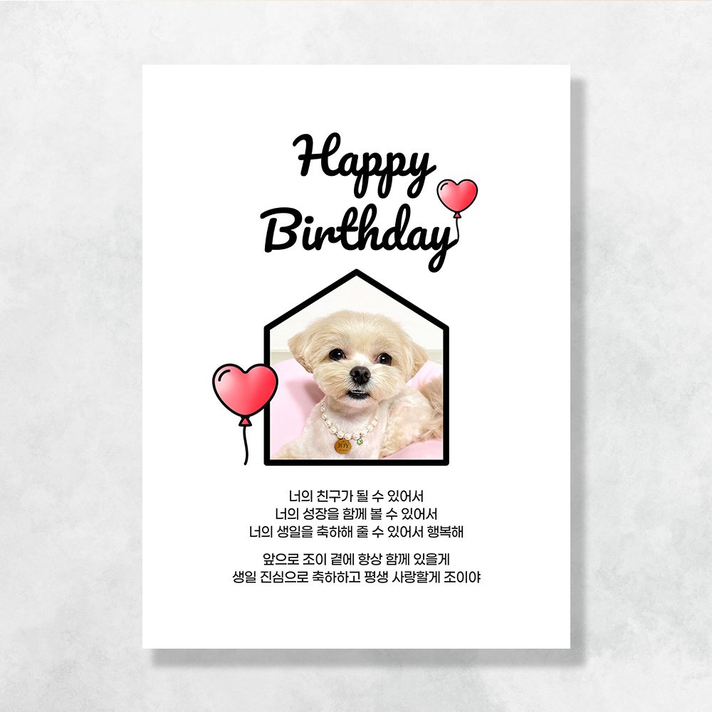 강아지 생일파티 고양이 반려동물 돌잔치상 현수막 가랜드 고깔모자 애견 세트 PC226