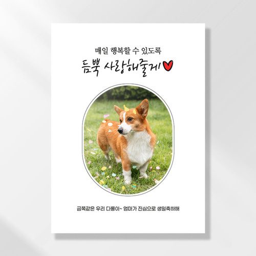 강아지 생일파티 고양이 용품 반려동물 돌상 현수막 가랜드 고깔모자 애견 세트 PC227