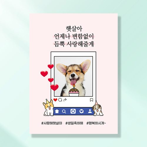 강아지 생일파티 고양이 용품 반려동물 돌잔치 상 현수막 가랜드 고깔모자 애견세트 PC228