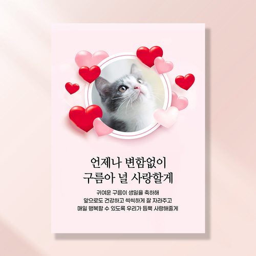 강아지 생일파티 고양이 용품 반려동물 돌상 현수막 가랜드 고깔모자 애견 세트 PC22