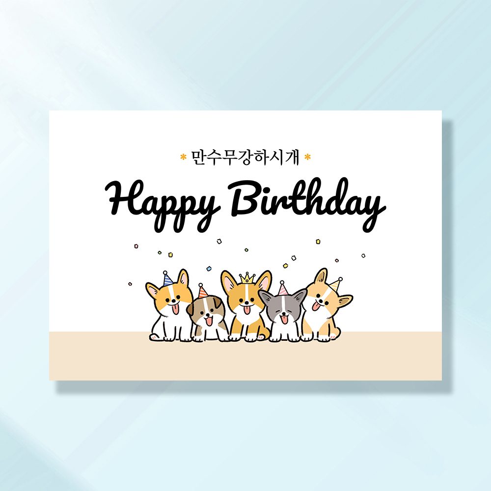 강아지 생일파티 고양이 반려동물 돌 잔치상 현수막 가랜드 고깔모자 애견 세트 PD107