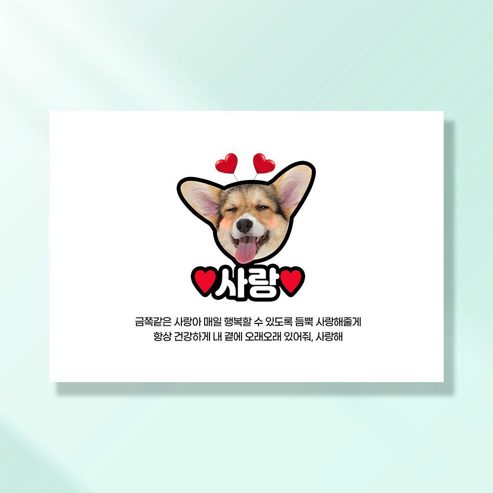 강아지 생일파티 고양이 용품 반려동물 돌 잔치 상 현수막 가랜드 토퍼 묘 고깔모자 애견 세트 PD201