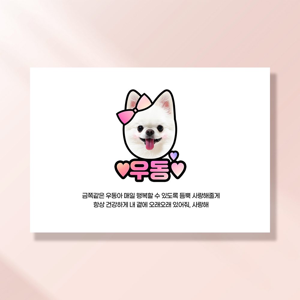 강아지 생일파티 고양이 용품 반려동물 돌 잔치 상 현수막 가랜드 애견 세트 PD202