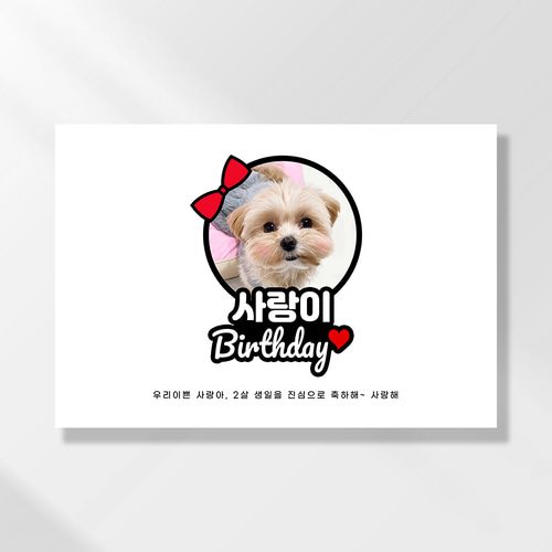 강아지 생일파티 고양이 반려동물 돌잔치상 생일현수막 가랜드 고깔모자 애견 세트 PD204