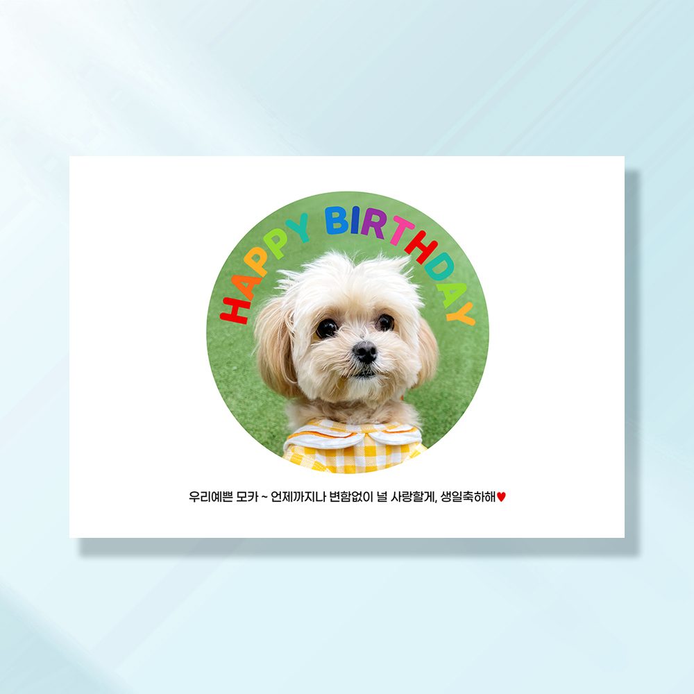 강아지 생일파티 고양이 용품 반려동물 돌 잔치 상 현수막 가랜드 토퍼 묘 고깔모자 애견 세트 PD205