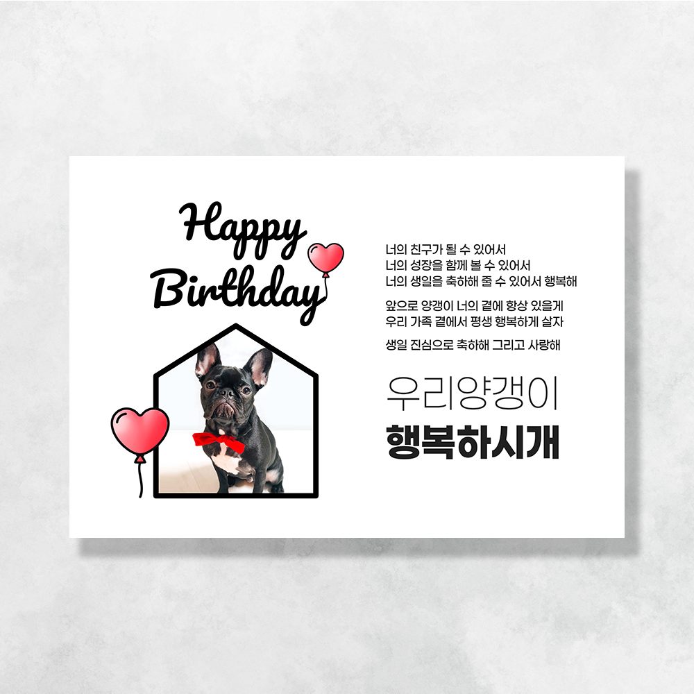 강아지 생일파티 고양이 용품 반려동물 돌상 현수막 가랜드 고깔모자 애견 세트 PD208