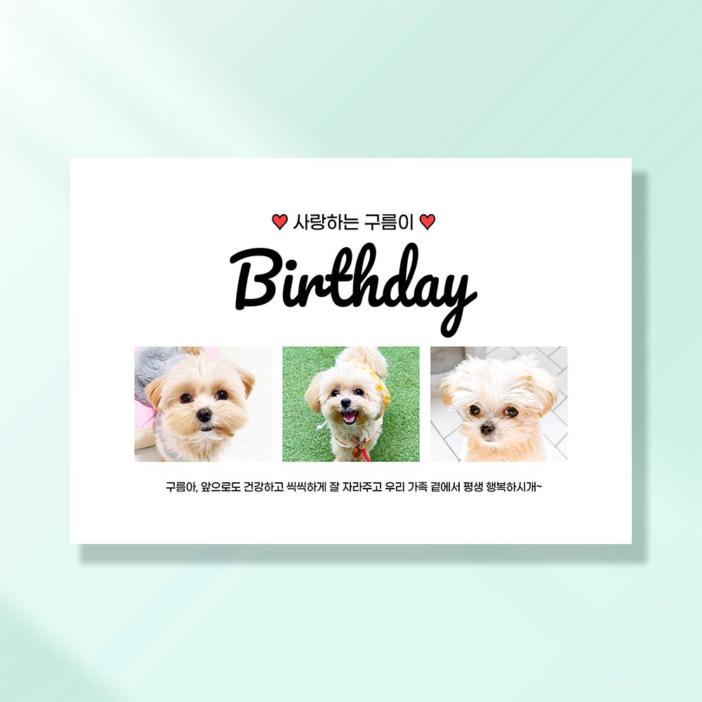강아지 생일파티 고양이 용품 반려동물 돌상 현수막 가랜드 고깔모자 애견 세트 PD209