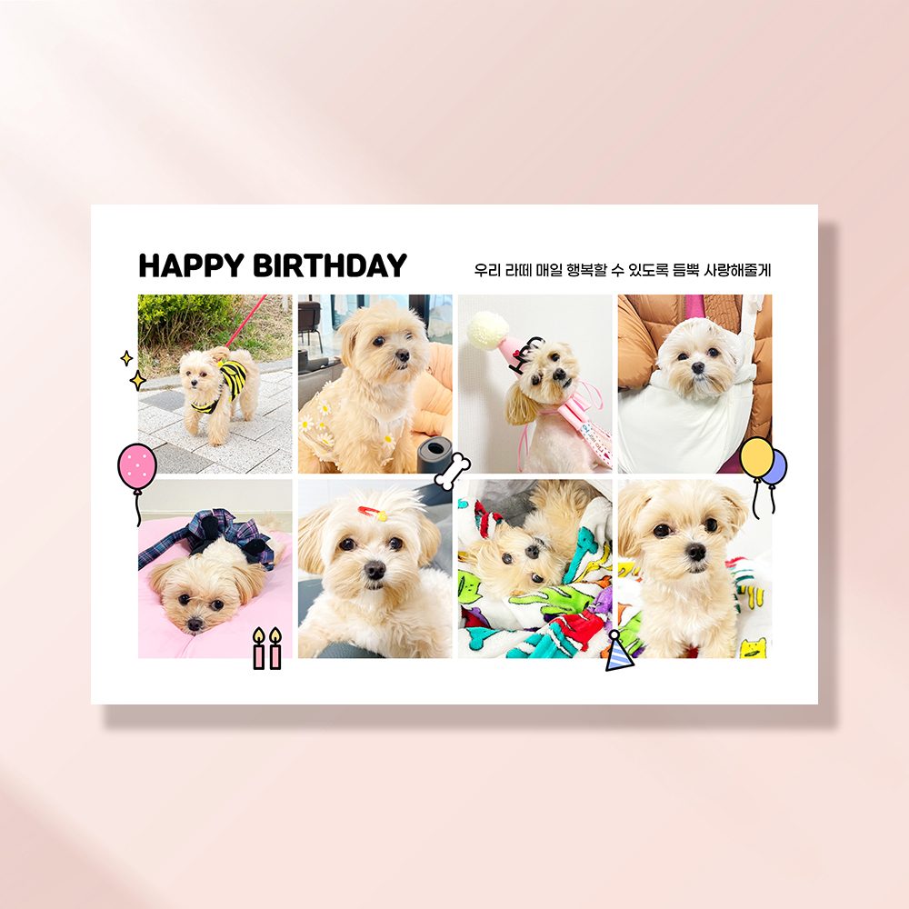 강아지 생일파티 고양이 용품 반려동물 돌상 현수막 가랜드 고깔모자 애견 세트 PD210