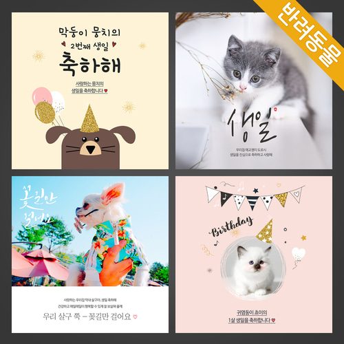 반려동물현수막 애견 강아지 반려견 애묘 고양이 반려묘 소품 현수막제작 B형세트