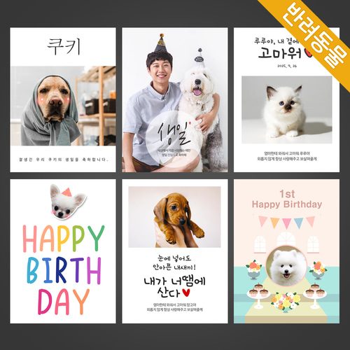반려동물현수막 애견 강아지 반려견 애묘 고양이 반려묘 소품 현수막제작 C형세트